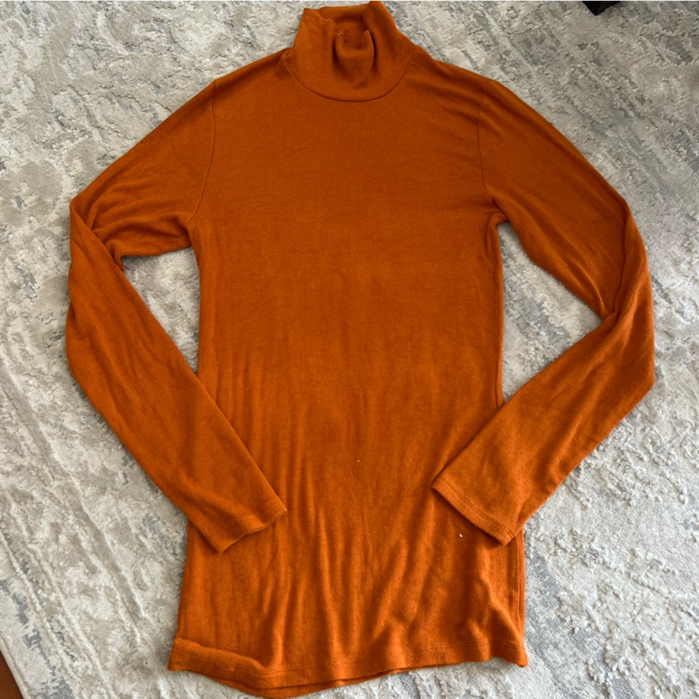 Aritzia Wilfred Only Turtleneck
